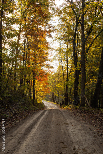 Gravel Country Road in Autumn Forest   Amish Country  Ohio