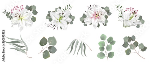 Fotografie, Obraz Vector set of flowers and herbs