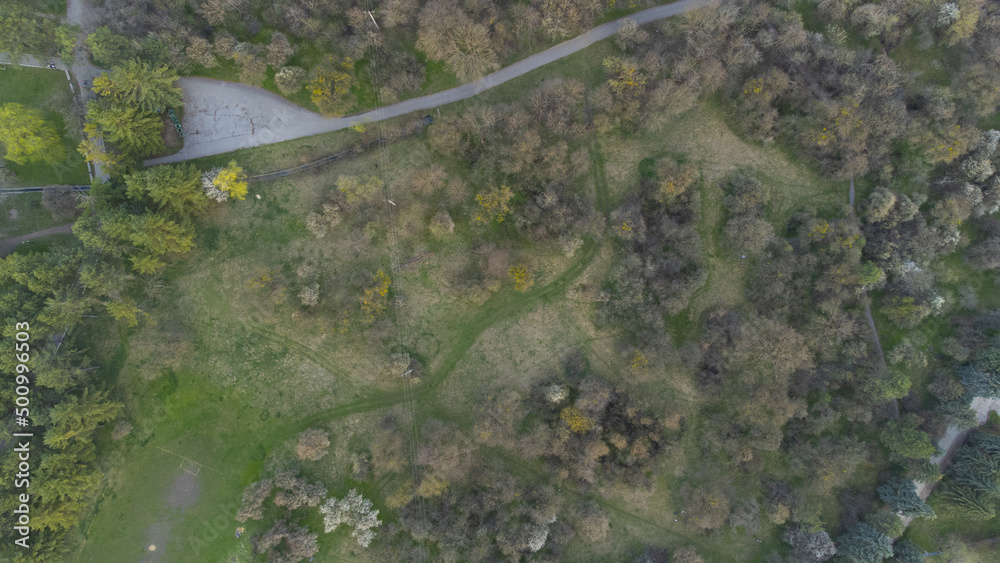 Pine forest near the lake in the park path. Shooting from a quadcopter. View from above. Drone video footage. Pine forest near the lake in the park path. Shooting from a quadcopter. View from above. Drone video footage.