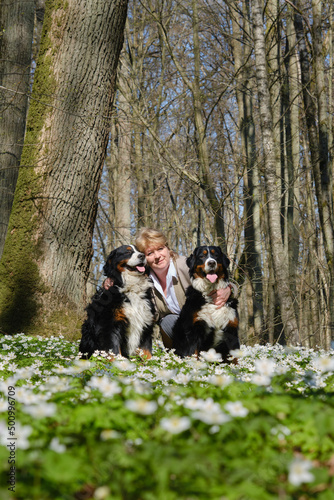 dogs and flowers