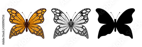 Butterfly insect set. Butterflies colorful, black  and silhouette group. Vector illustration isolated on white.