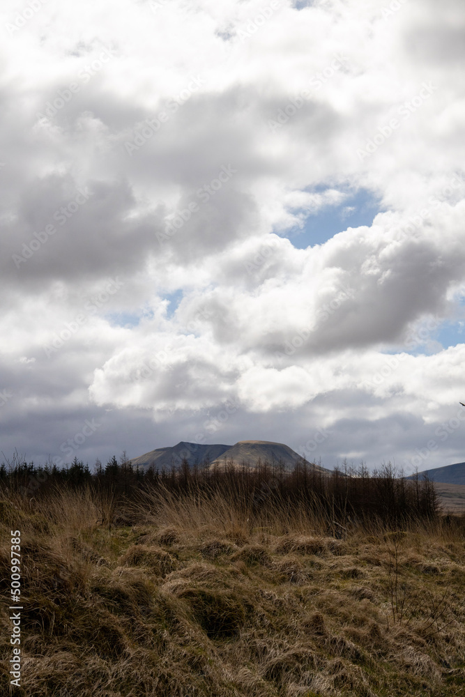 clouds in the sky