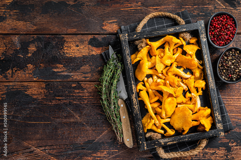 Harvested Raw Chanterelles mushrooms in a rustic tray.  Dark Wooden background. Top view. Copy space - obrazy, fototapety, plakaty 