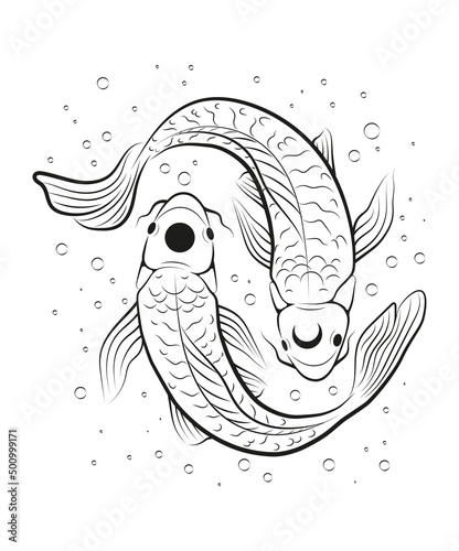Koi fish