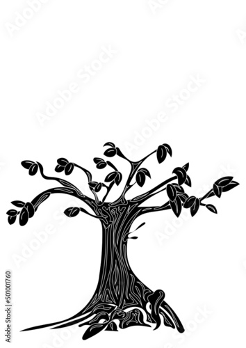 Baum