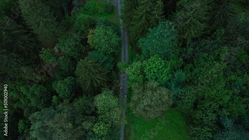 Two professional cyclists ride on scenic epic green forest road in Norway. Spring, summer, autumn adventure at nordic destination. Cycle bike touring trend. Sustainable travel lifestyle concept