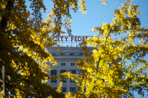 Ginko Trees - Downtown Birmingham, AL
