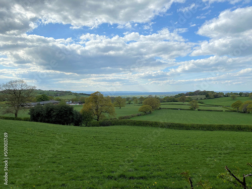 A view of the Cheshire Countryside at Peckforton photo