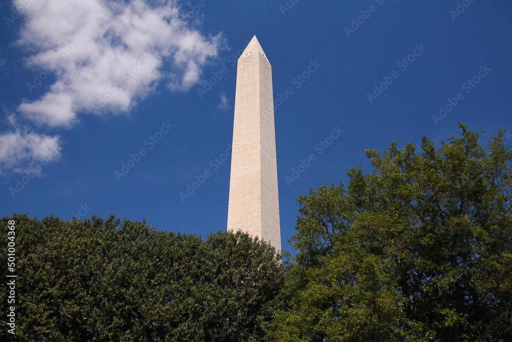 The white Washington obelisk monument with the green trees at the basis