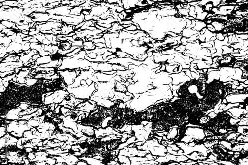 Rustic cracked vector texture with many cracks and scratches. Abstract background. Broken and damaged surface. Aged backdrop. Vector graphic illustration with transparent white. EPS10.