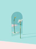 Narcissus flower reflecting fallen petals in the mirror. Change, transformation minimal conceptual background.