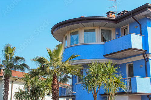 blue house with palm trees