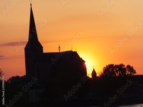 Tudor Schleurholts