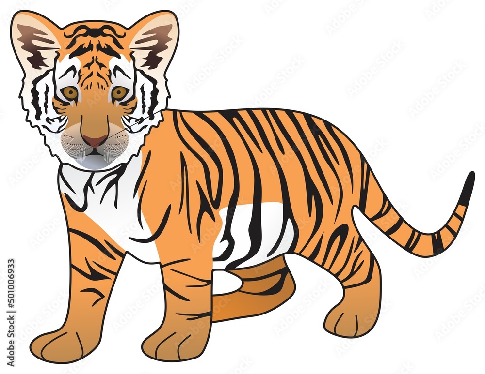 Obraz premium tiger cub vector drawing on isolated white background cartoon mammal animal pose character standing walking head face logo icon sign symbol object outline illustration wildlife jungle concept 