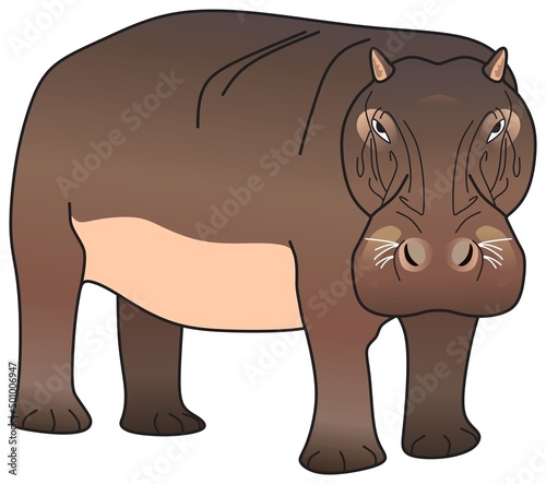 hippopotamus amphibious vector drawing isolated white background mammal herbivorous animal pose character standing walking run hippo head face logo icon object outline illustration wildlife concept