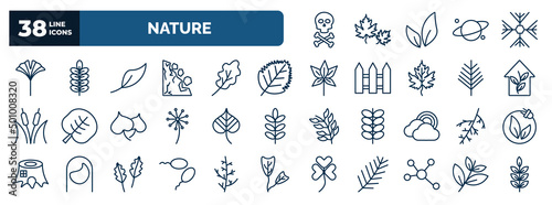 set of nature web icons in outline style. thin line icons such as death, ginkgo, orange leaf, birch leaf, indoor, linden leaf, larch fertilize clinic, element, black willow vector.
