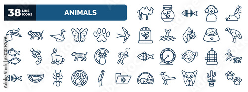 set of animals web icons in outline style. thin line icons such as humps, hornbill, origami swan, swallow, condor, black cat, cage, no dogs, pit bull, boho vector.