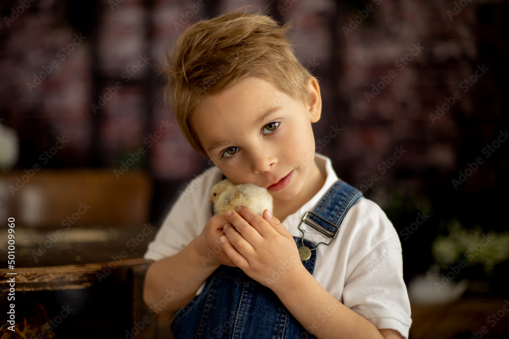Cute child at home with little newborn chicks, enjoying, cute kid and animal friend in sunny room Cute child at home with little newborn chicks, enjoying, cute kid and animal friend in sunny room