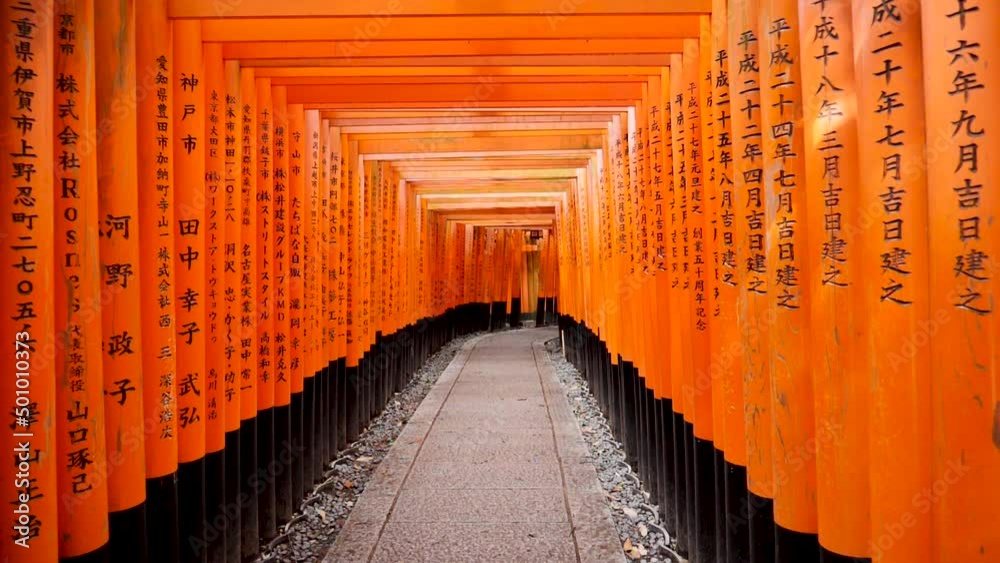 Empty Fushimi Inari full of torii gates in slowmotion Kyoto, Japan. Fushimi Inari Taisha shrine with no tourists. High quality slowmotion footage. Empty Fushimi Inari full of torii gates in slowmotion Kyoto, Japan. Fushimi Inari Taisha shrine with no tourists. High quality slowmotion footage.