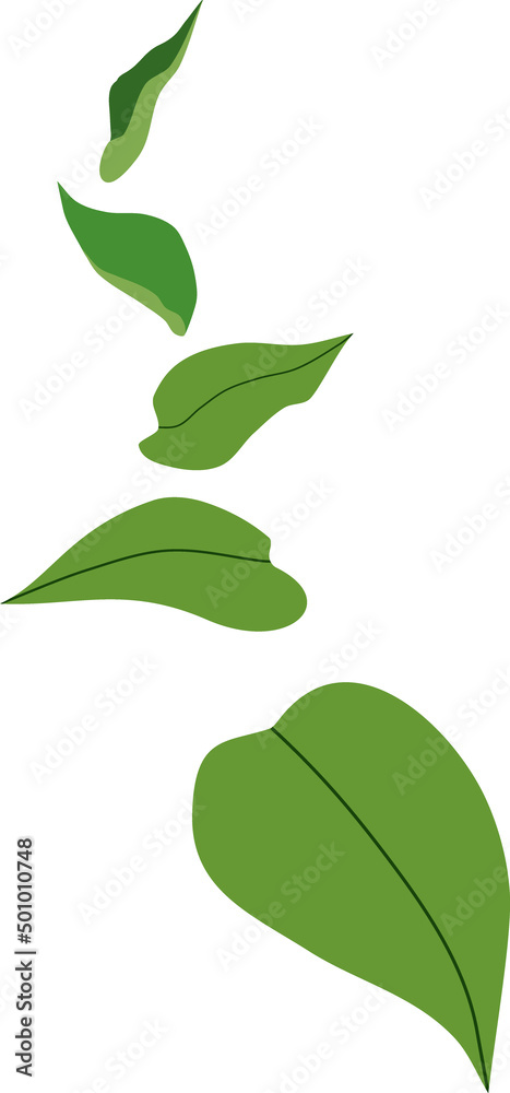 Simple composition of abstract green leaves isolated on white background Simple composition of abstract green leaves isolated on white background