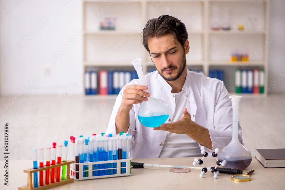 Young male chemist working at the lab