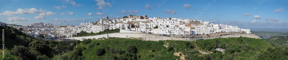 Panoramic image of Vejer de la Frontera village