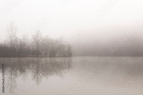 Foggy morning along the water with reflection of trees at Bald E