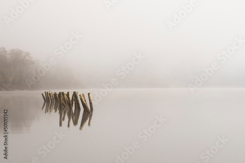 Foto Foggy morning on the water with posts sticking out of water and