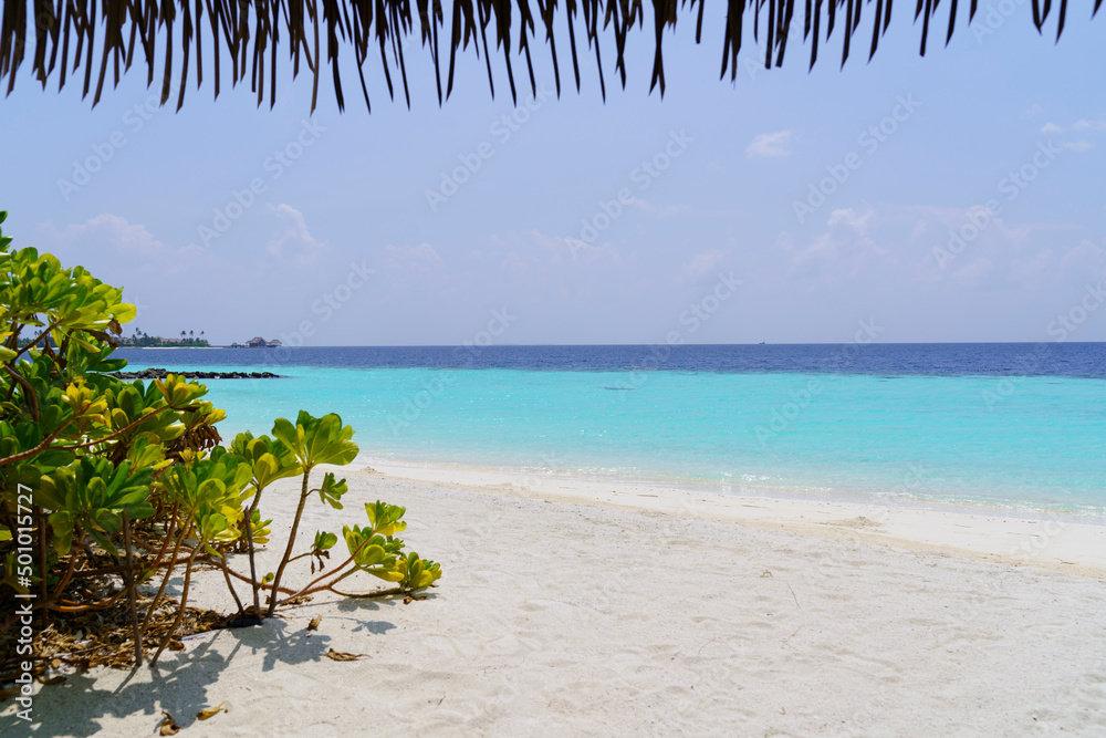 Landscape view of the ocean and sandy beach.