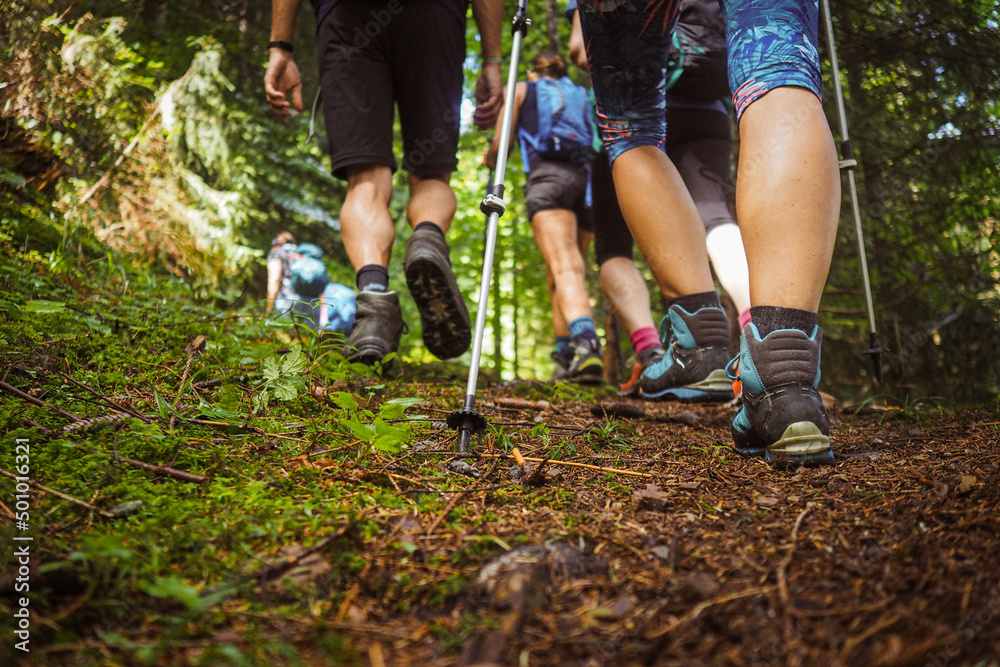 sporty group of people from behind while hiking through the forest surrounded by many green leaves
sporty group of people from behind while hiking through the forest surrounded by many green leaves
