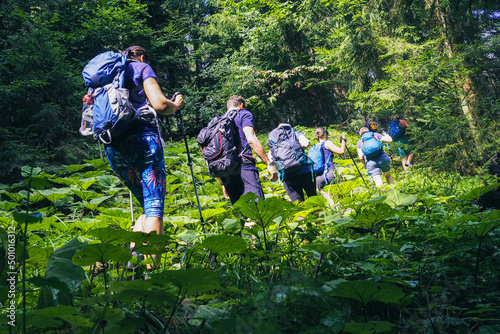 sporty group of people from behind while hiking through the forest surrounded by many green leaves
