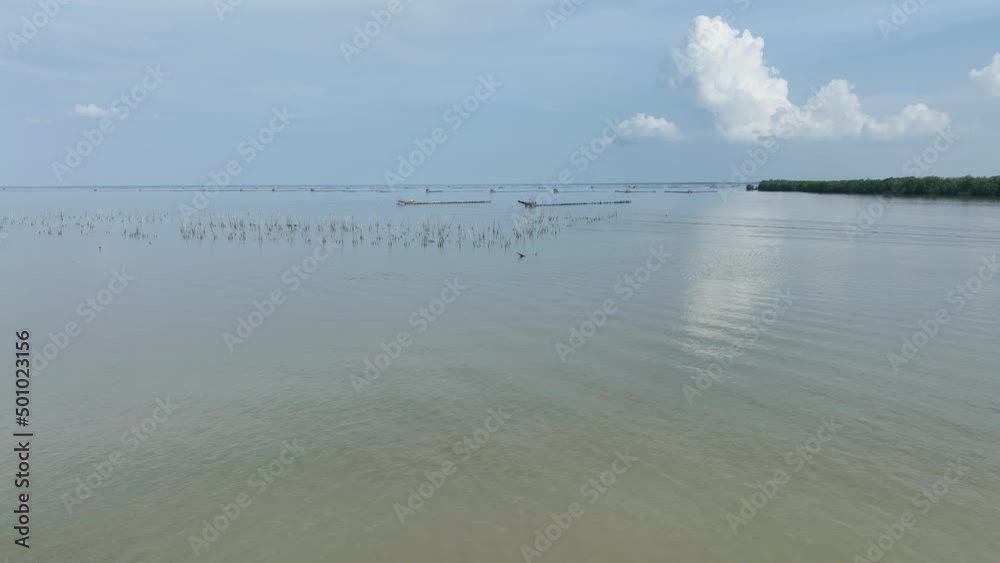 Aerial view of Thai traditional fishing trap and mangrove forest view in the coast of Nakhon Sri Thammasat, Thailand
