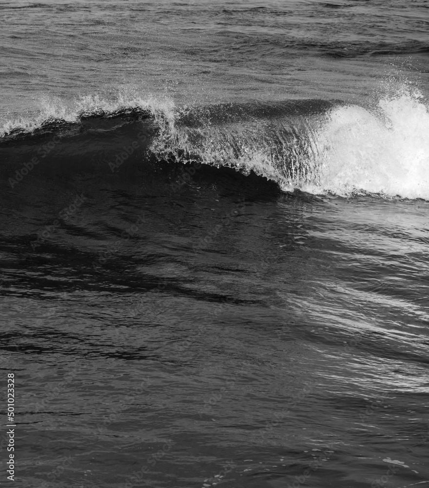 Black and White Aerial View of a Wave Breaking in Hawaii.