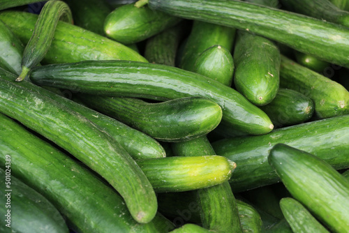 Kitchen chef chopping cucumbers for salad in a restaurant in Turkey