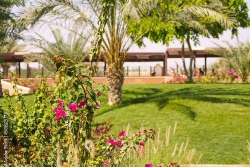 Wallpaper Mural tropical Torontodigital.ca