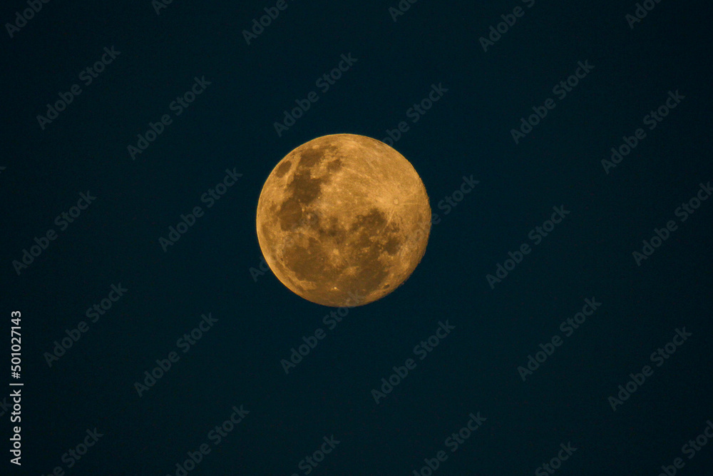 Obraz premium Full moon