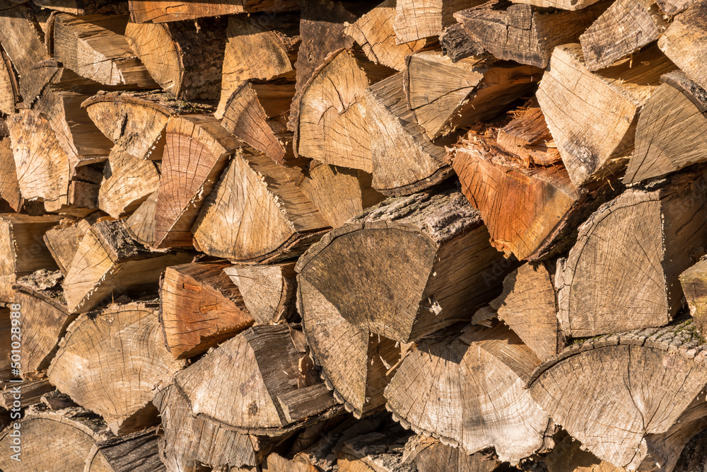 Cut and stacked firewood on a sunny day Cut and stacked firewood on a sunny day
