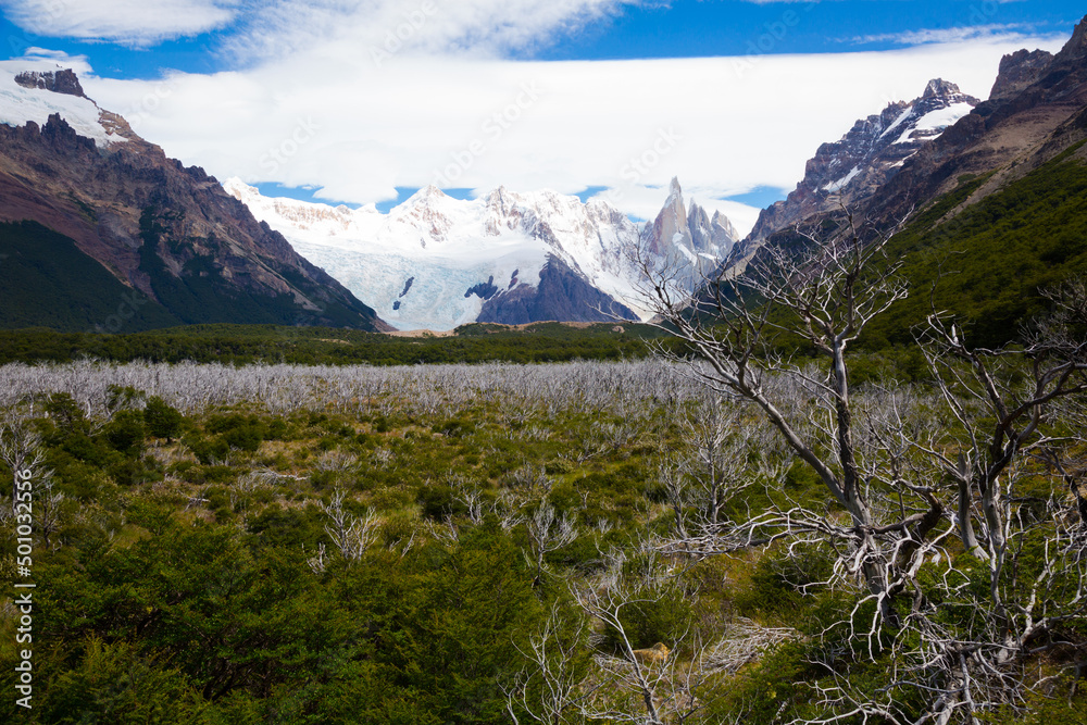 View of slopes and mountain peaks Fitz Roy, Cerro Torre from green valley. Patagonia, Argentina, South America