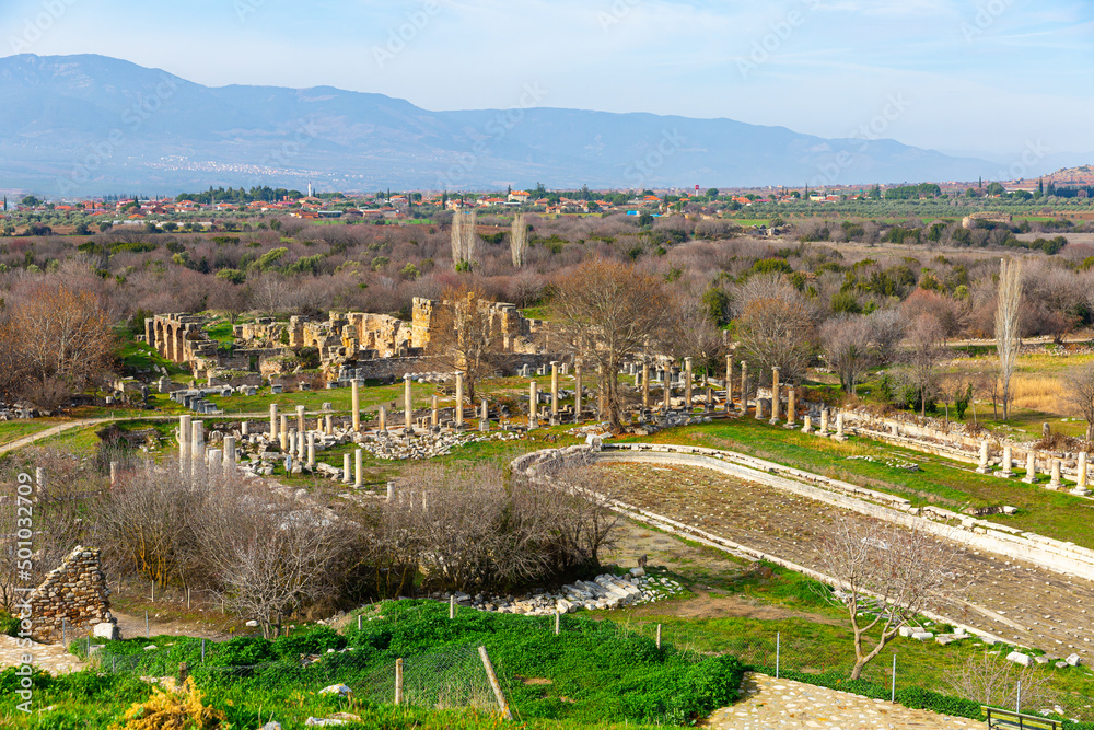 Ruins of South Agora with unique huge pool surrounded by Ionic colonnades amidst park in ancient Hellenistic city of Aphrodisias, Aydin province, Turkey