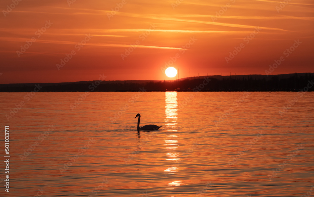 Fototapeta premium Landscape with a beautiful sunset on Balaton lake - Hungary