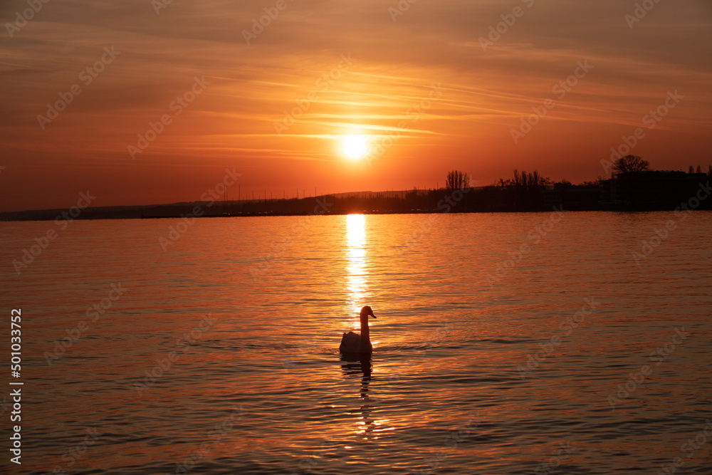 Landscape with a beautiful sunset on Balaton lake  - Hungary
