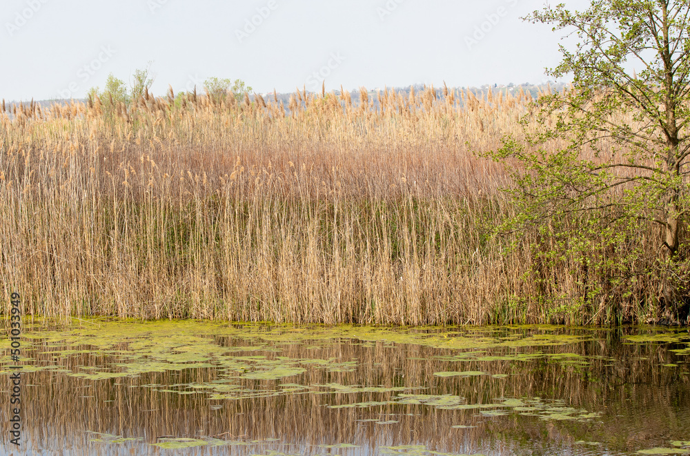 Landscape from the Small Balaton Lake area - Hungary
