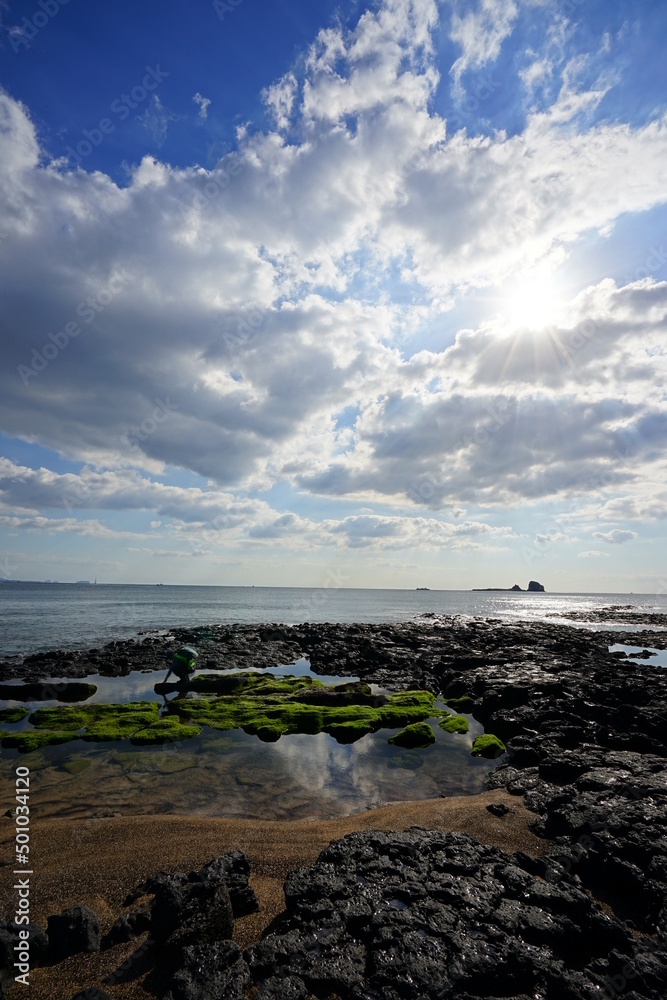 beautiful moss rock beach and fine clouds