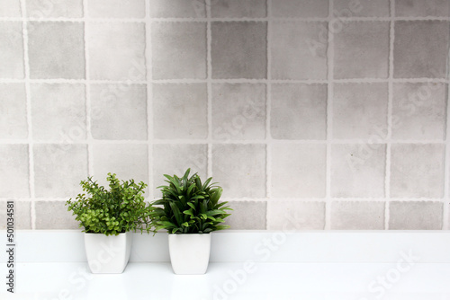 White pots with green plants on a white background with gray squares as a minimalist desktop or kitchen background 