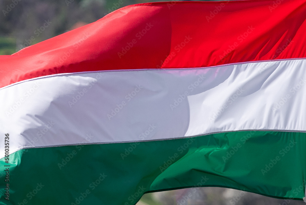 the Hungarian flag fluttering in the wind