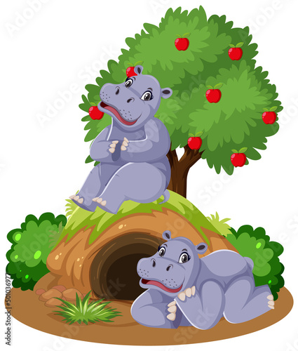 Two hippopotamus with burrow