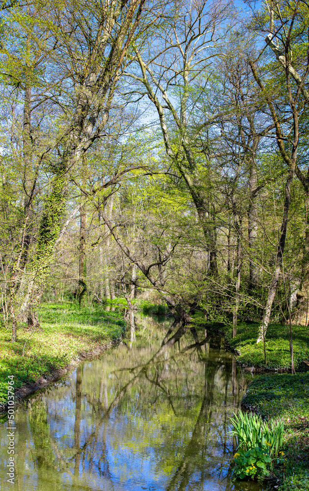 Landscape of the Vacratot Botanical Garden - Hungary Landscape of the Vacratot Botanical Garden - Hungary