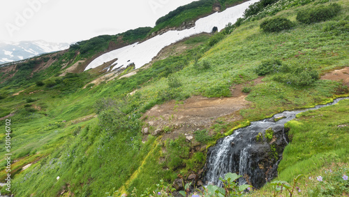 On the hillside you can see green vegetation, wildflowers, melted snow. In the foreground is a stream turning into a small waterfall. Kamchatka © Вера 