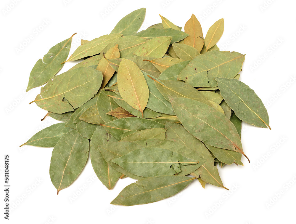 Aromatic bay leaves isolated on white background Aromatic bay leaves isolated on white background