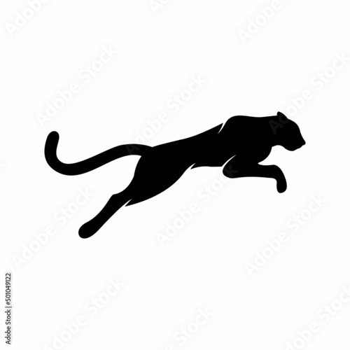 leopard jumping isolated on white